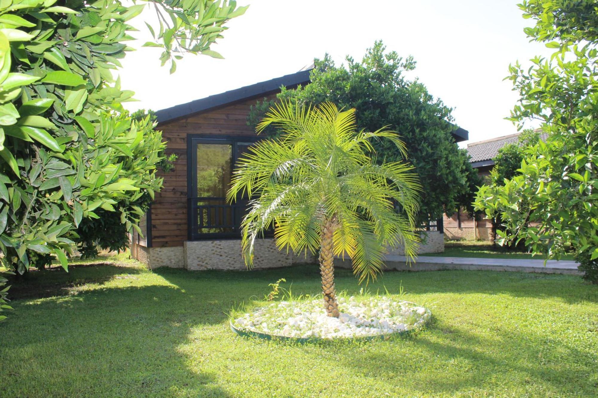 Cirali Villa'S Kemer Exteriér fotografie